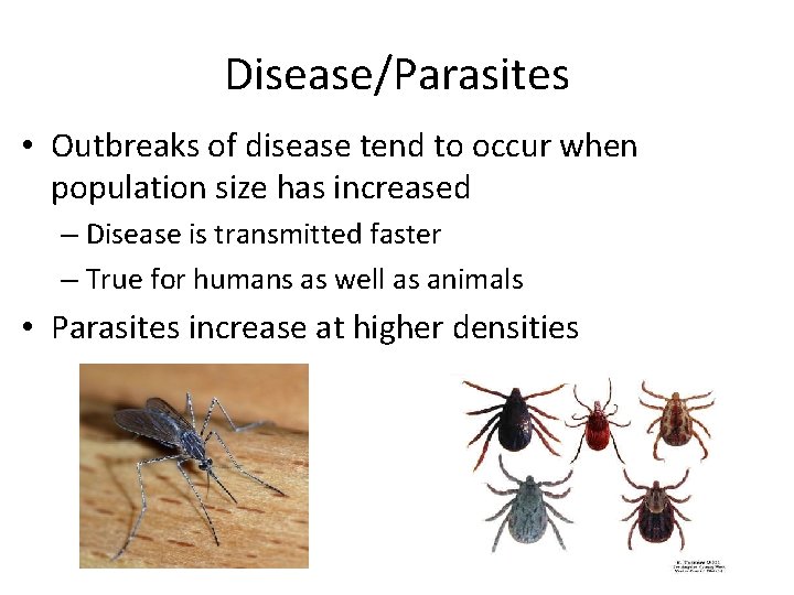 Disease/Parasites • Outbreaks of disease tend to occur when population size has increased –