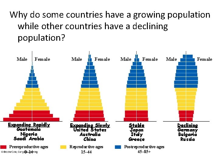 Why do some countries have a growing population while other countries have a declining