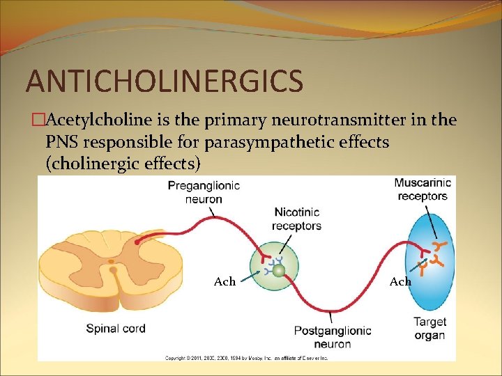 ANTICHOLINERGICS �Acetylcholine is the primary neurotransmitter in the PNS responsible for parasympathetic effects (cholinergic ANTICHOLINERGICS �Acetylcholine is the primary neurotransmitter in the PNS responsible for parasympathetic effects (cholinergic
