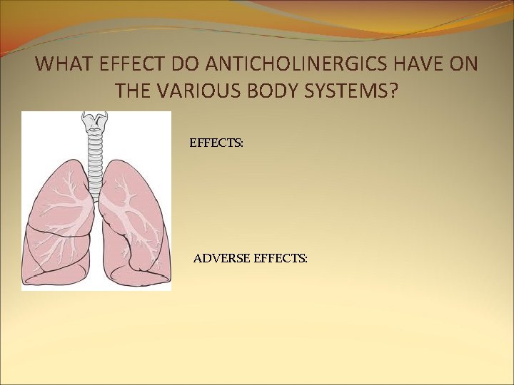 WHAT EFFECT DO ANTICHOLINERGICS HAVE ON THE VARIOUS BODY SYSTEMS? EFFECTS: ADVERSE EFFECTS: WHAT EFFECT DO ANTICHOLINERGICS HAVE ON THE VARIOUS BODY SYSTEMS? EFFECTS: ADVERSE EFFECTS: