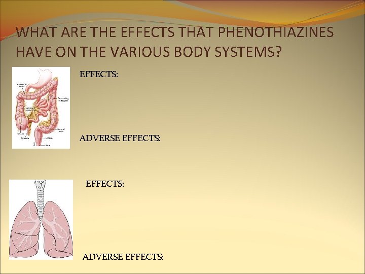 WHAT ARE THE EFFECTS THAT PHENOTHIAZINES HAVE ON THE VARIOUS BODY SYSTEMS? EFFECTS: ADVERSE WHAT ARE THE EFFECTS THAT PHENOTHIAZINES HAVE ON THE VARIOUS BODY SYSTEMS? EFFECTS: ADVERSE