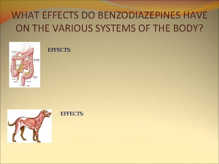 WHAT EFFECTS DO BENZODIAZEPINES HAVE ON THE VARIOUS SYSTEMS OF THE BODY? EFFECTS: WHAT EFFECTS DO BENZODIAZEPINES HAVE ON THE VARIOUS SYSTEMS OF THE BODY? EFFECTS: