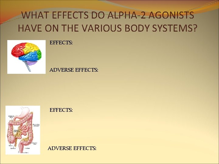 WHAT EFFECTS DO ALPHA-2 AGONISTS HAVE ON THE VARIOUS BODY SYSTEMS? EFFECTS: ADVERSE EFFECTS: WHAT EFFECTS DO ALPHA-2 AGONISTS HAVE ON THE VARIOUS BODY SYSTEMS? EFFECTS: ADVERSE EFFECTS: