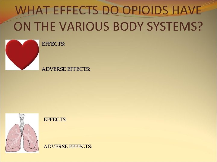 WHAT EFFECTS DO OPIOIDS HAVE ON THE VARIOUS BODY SYSTEMS? EFFECTS: ADVERSE EFFECTS: WHAT EFFECTS DO OPIOIDS HAVE ON THE VARIOUS BODY SYSTEMS? EFFECTS: ADVERSE EFFECTS: