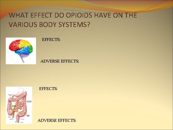 WHAT EFFECT DO OPIOIDS HAVE ON THE VARIOUS BODY SYSTEMS? EFFECTS: ADVERSE EFFECTS: WHAT EFFECT DO OPIOIDS HAVE ON THE VARIOUS BODY SYSTEMS? EFFECTS: ADVERSE EFFECTS: