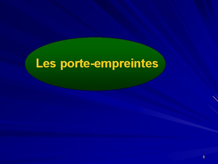 Les porte-empreintes 6 