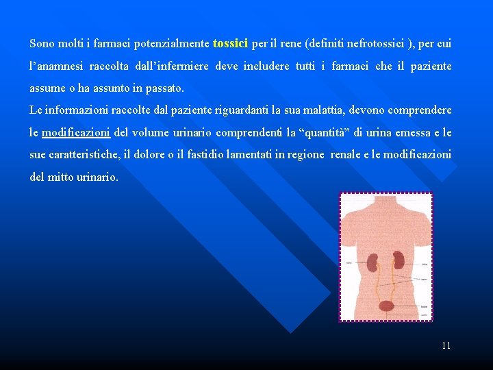 Sono molti i farmaci potenzialmente tossici per il rene (definiti nefrotossici ), per cui