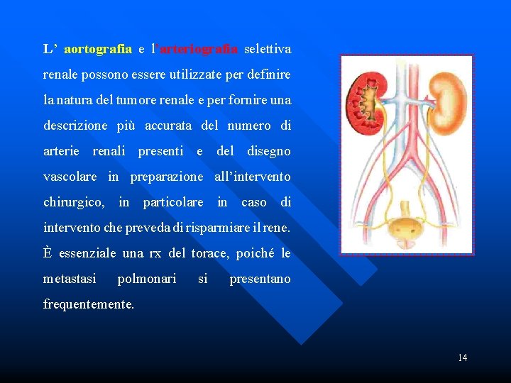 L’ aortografia e l’arteriografia selettiva renale possono essere utilizzate per definire la natura del