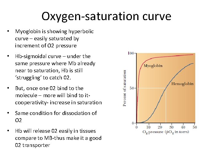 Oxygen-saturation curve • Myoglobin is showing hyperbolic curve – easily saturated by increment of