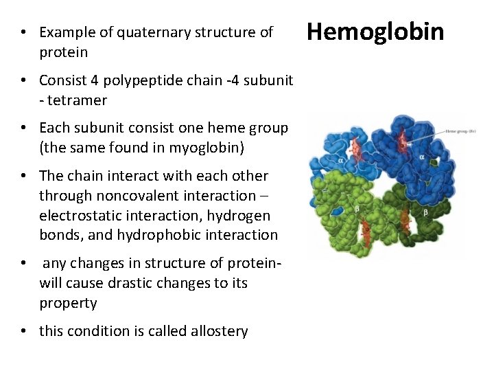  • Example of quaternary structure of protein • Consist 4 polypeptide chain -4