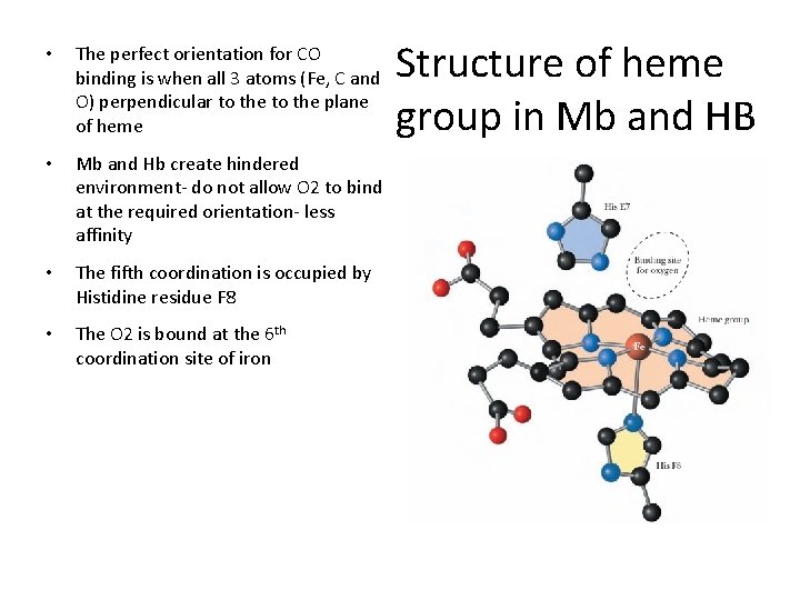  • The perfect orientation for CO binding is when all 3 atoms (Fe,