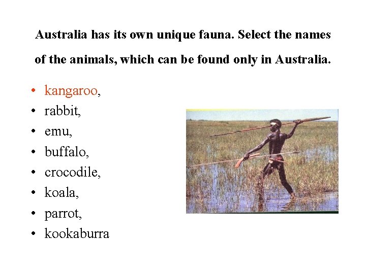 Australia has its own unique fauna. Select the names of the animals, which can