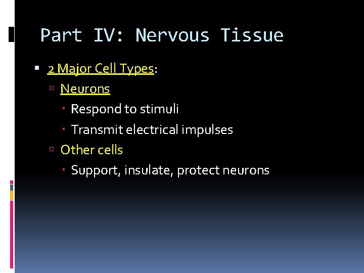 Part IV: Nervous Tissue 2 Major Cell Types: Neurons Respond to stimuli Transmit electrical
