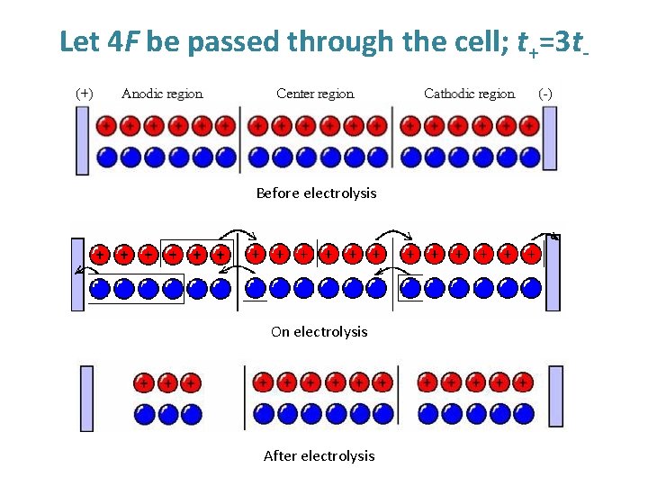 Let 4 F be passed through the cell; t+=3 t- Before electrolysis On electrolysis