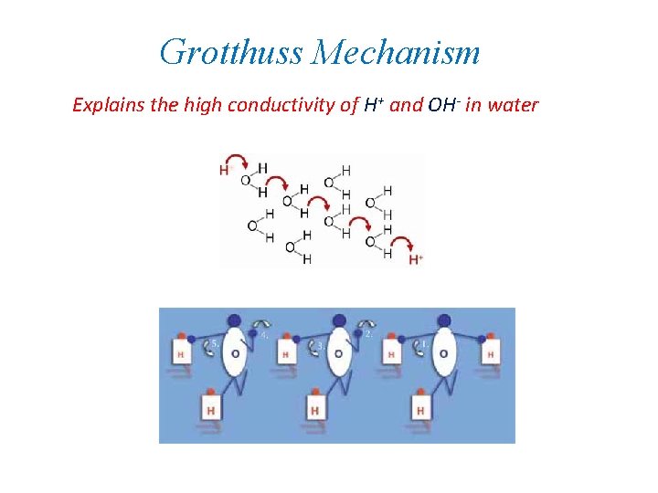 Grotthuss Mechanism Explains the high conductivity of H+ and OH- in water 
