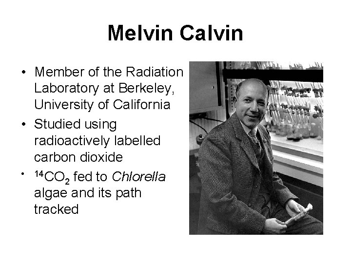 Melvin Calvin • Member of the Radiation Laboratory at Berkeley, University of California • Melvin Calvin • Member of the Radiation Laboratory at Berkeley, University of California •