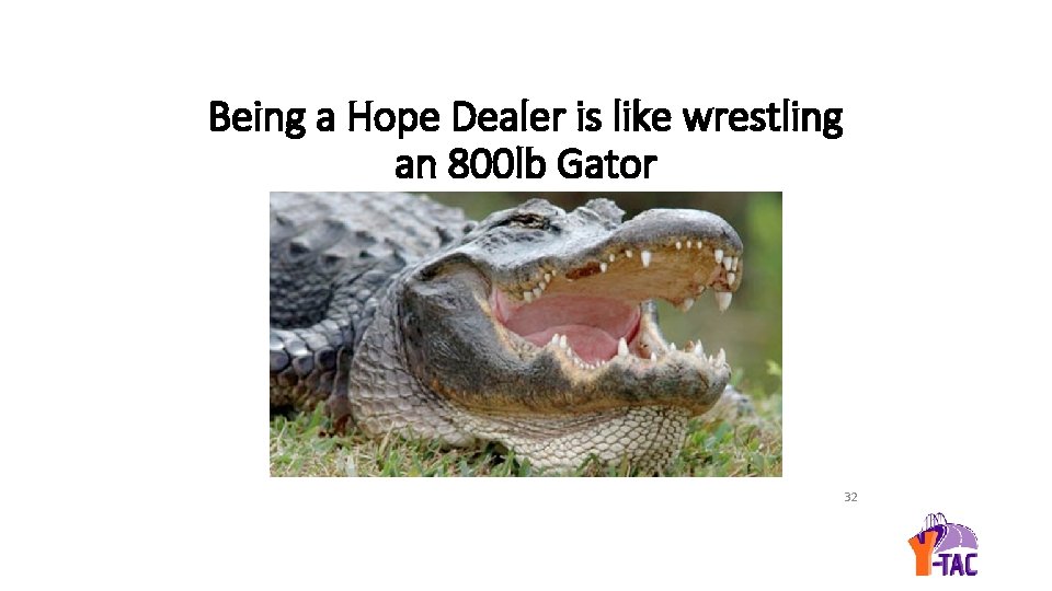 Being a Hope Dealer is like wrestling an 800 lb Gator 32 