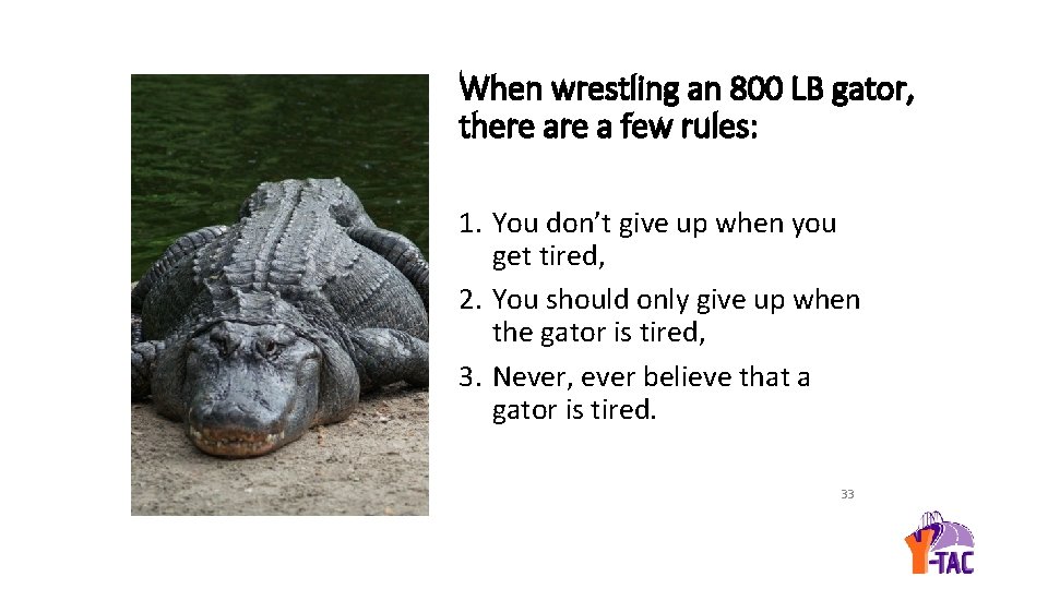 When wrestling an 800 LB gator, there a few rules: 1. You don’t give