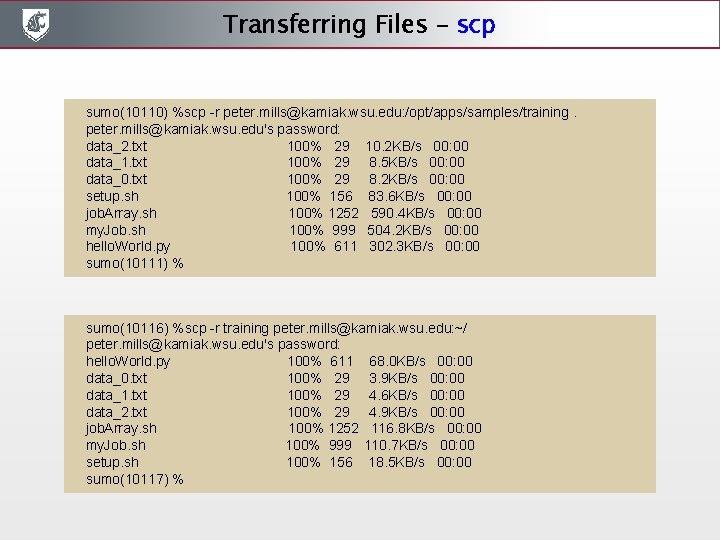Transferring Files - scp sumo(10110) %scp -r peter. mills@kamiak. wsu. edu: /opt/apps/samples/training. peter. mills@kamiak. Transferring Files - scp sumo(10110) %scp -r peter. mills@kamiak. wsu. edu: /opt/apps/samples/training. peter. mills@kamiak.