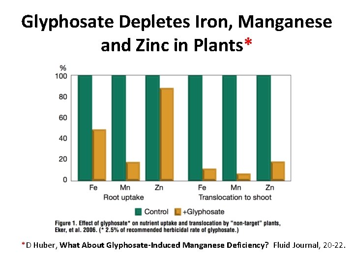 Glyphosate Depletes Iron, Manganese and Zinc in Plants* *D Huber, What About Glyphosate-Induced Manganese