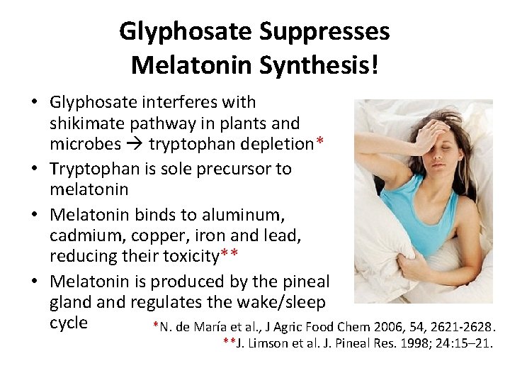 Glyphosate Suppresses Melatonin Synthesis! • Glyphosate interferes with shikimate pathway in plants and microbes