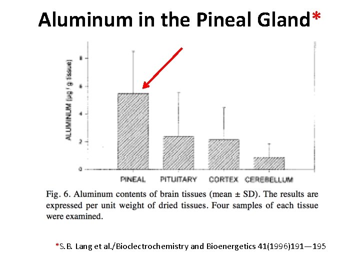 Aluminum in the Pineal Gland* *S. B. Lang et al. /Bioclectrochemistry and Bioenergetics 41(1996)191—