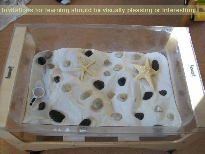 Invitations for learning should be visually pleasing or interesting. 