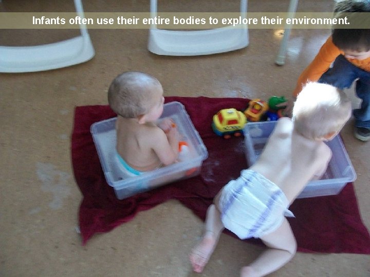 Infants often use their entire bodies to explore their environment. 