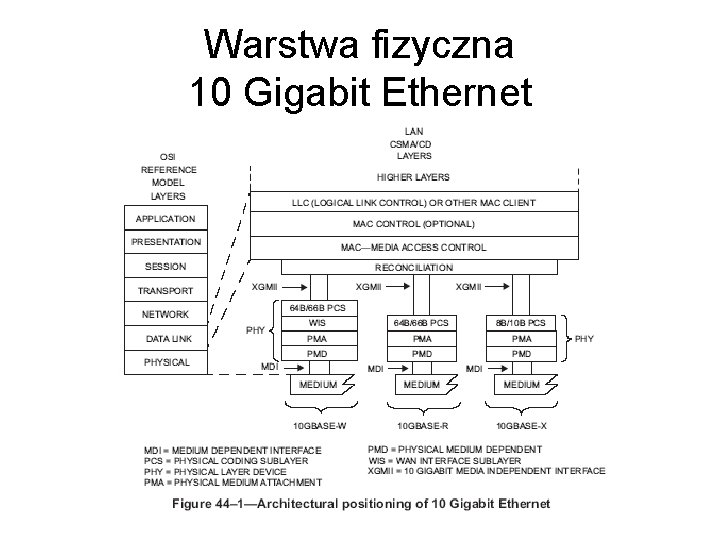 Warstwa fizyczna 10 Gigabit Ethernet 