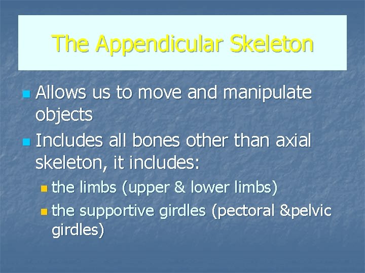 The Appendicular Skeleton Allows us to move and manipulate objects n Includes all bones