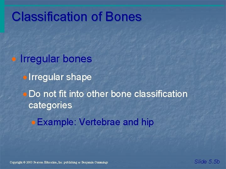 Classification of Bones · Irregular bones · Irregular shape · Do not fit into