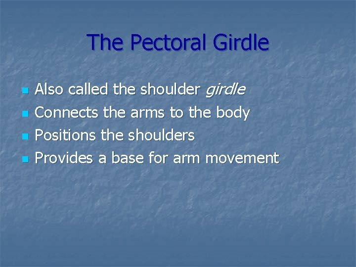 The Pectoral Girdle n n Also called the shoulder girdle Connects the arms to