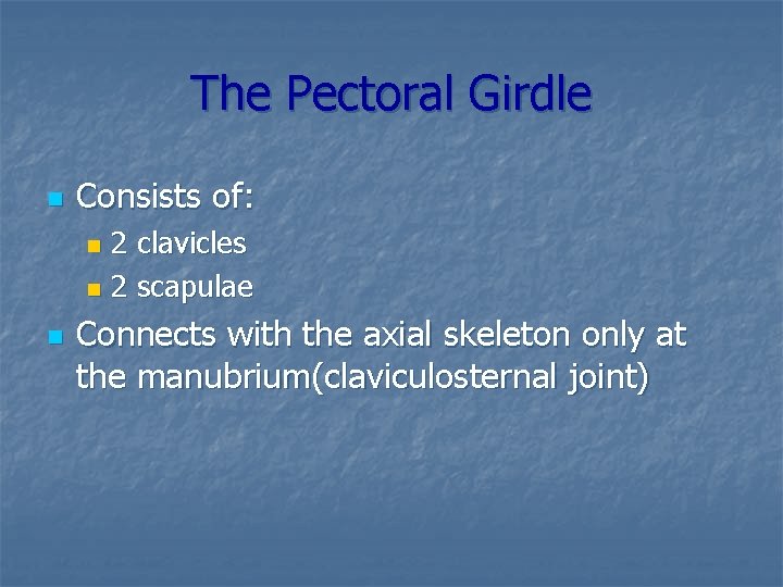 The Pectoral Girdle n Consists of: 2 clavicles n 2 scapulae n n Connects