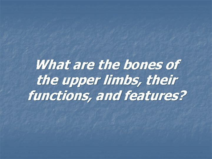 What are the bones of the upper limbs, their functions, and features? 