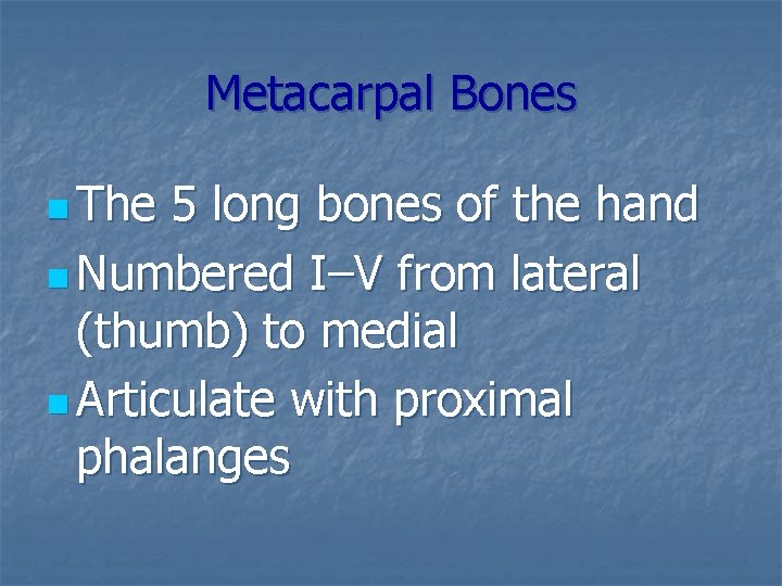 Metacarpal Bones n The 5 long bones of the hand n Numbered I–V from