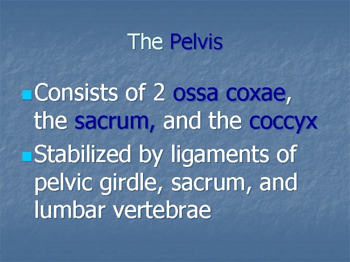 The Pelvis n Consists of 2 ossa coxae, the sacrum, and the coccyx n