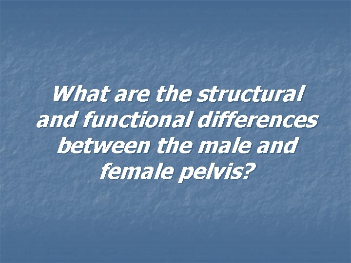 What are the structural and functional differences between the male and female pelvis? 