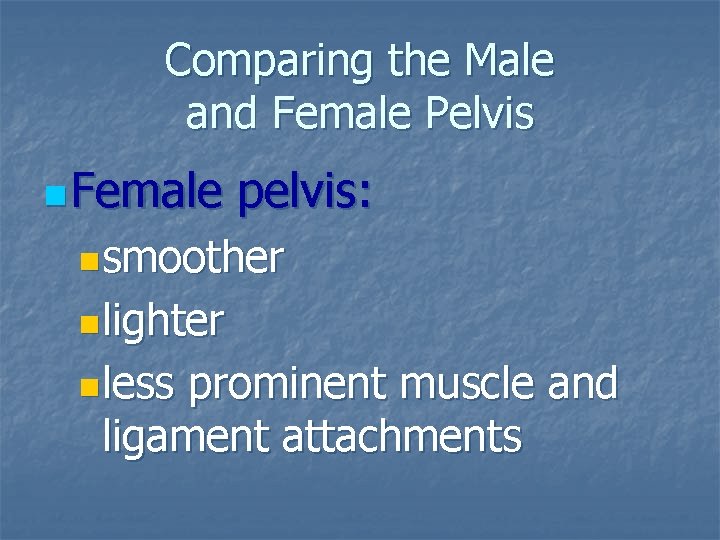 Comparing the Male and Female Pelvis n Female pelvis: nsmoother nlighter nless prominent muscle