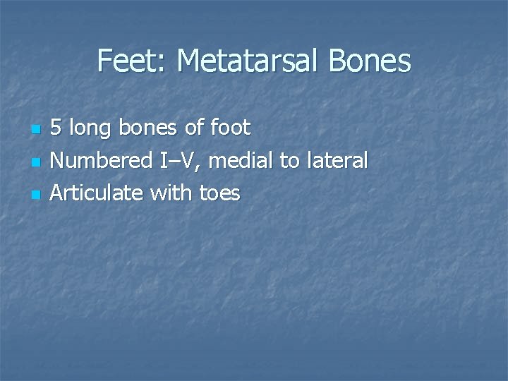 Feet: Metatarsal Bones n n n 5 long bones of foot Numbered I–V, medial