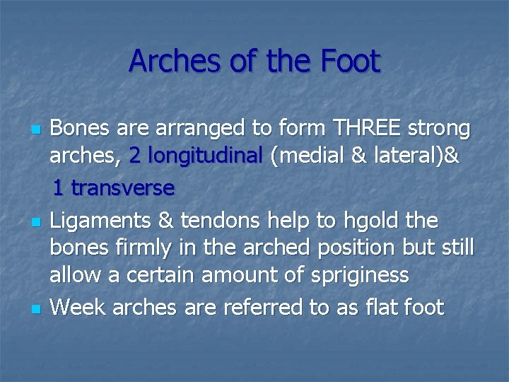 Arches of the Foot n n n Bones are arranged to form THREE strong