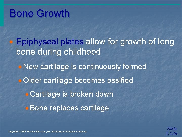 Bone Growth · Epiphyseal plates allow for growth of long bone during childhood ·