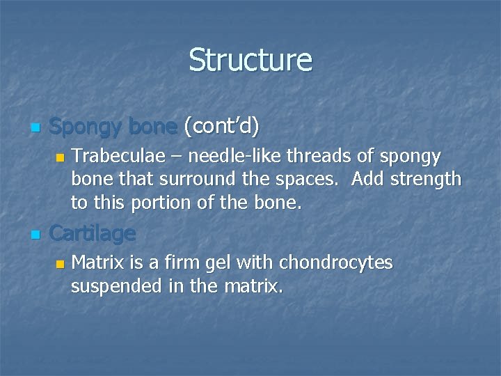 Structure n Spongy bone (cont’d) n n Trabeculae – needle-like threads of spongy bone