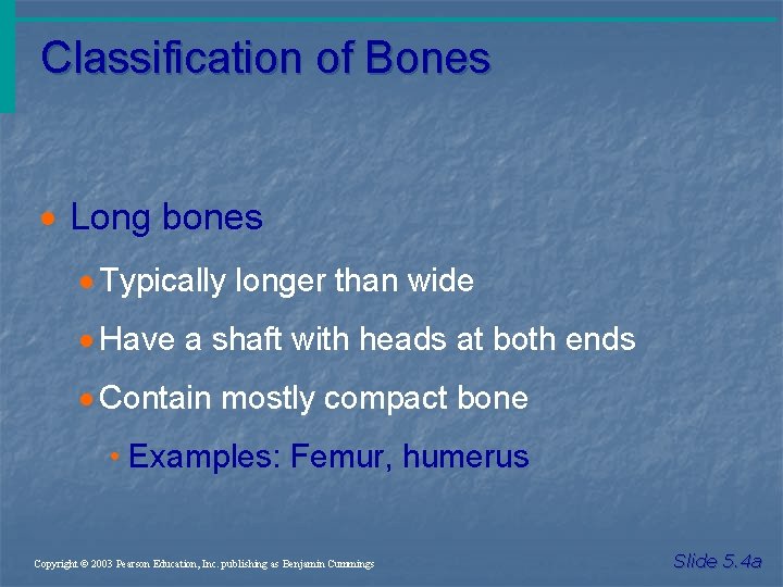 Classification of Bones · Long bones · Typically longer than wide · Have a