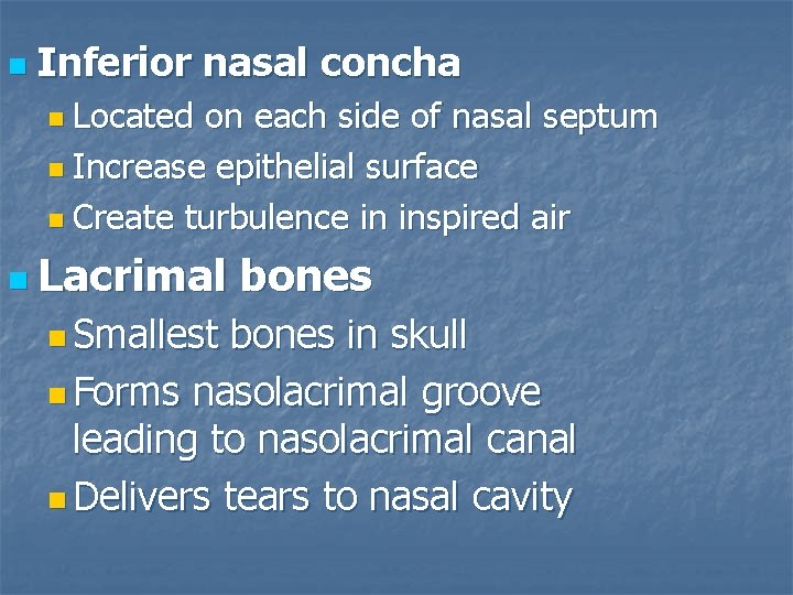 n Inferior nasal concha n Located on each side of nasal septum n Increase