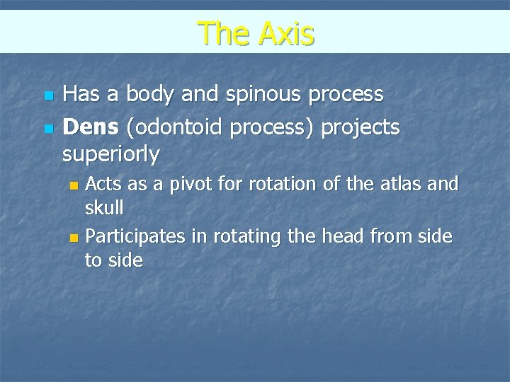 The Axis n n Has a body and spinous process Dens (odontoid process) projects