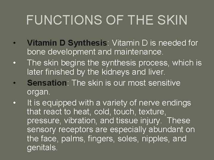 FUNCTIONS OF THE SKIN • • Vitamin D Synthesis: Vitamin D is needed for
