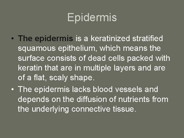 Epidermis • The epidermis is a keratinized stratified squamous epithelium, which means the surface