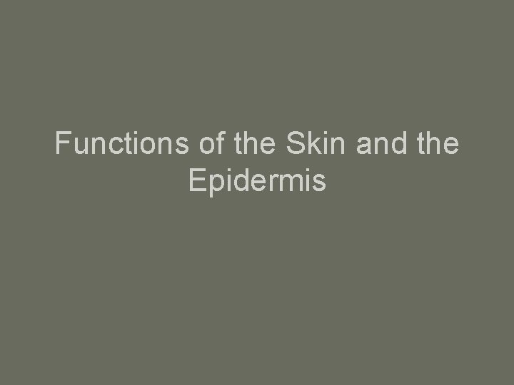 Functions of the Skin and the Epidermis 