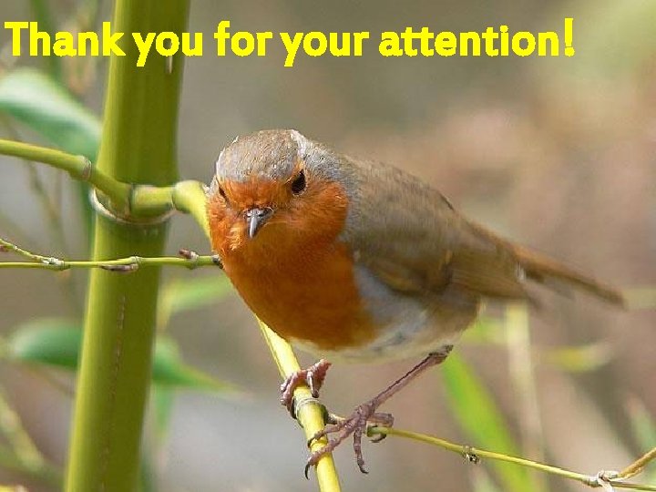 Thank you for your attention! 