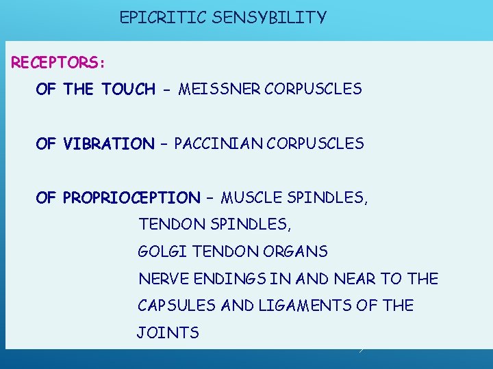 EPICRITIC SENSYBILITY RECEPTORS: OF THE TOUCH - MEISSNER CORPUSCLES OF VIBRATION – PACCINIAN CORPUSCLES